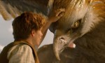 7_1_6_norbert-dragonneau-accompagne-une-des-nombreuses-creatures-film