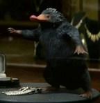 niffleur_en_flagrant_delit