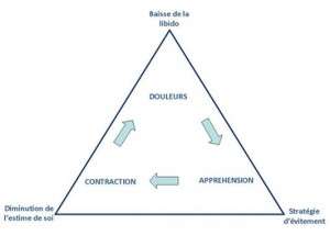 Le cercle vicieux du vaginisme, issus du site Les Clés de Vénus