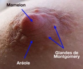 aNVW0DzlQKjAgkuQrgeHhbuxSARquPMH_med