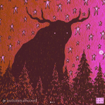 Capture d’écran (72)